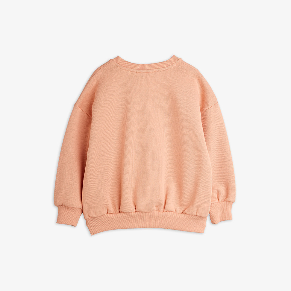 Dino patch sweatshirt Grey | Mini Rodini
