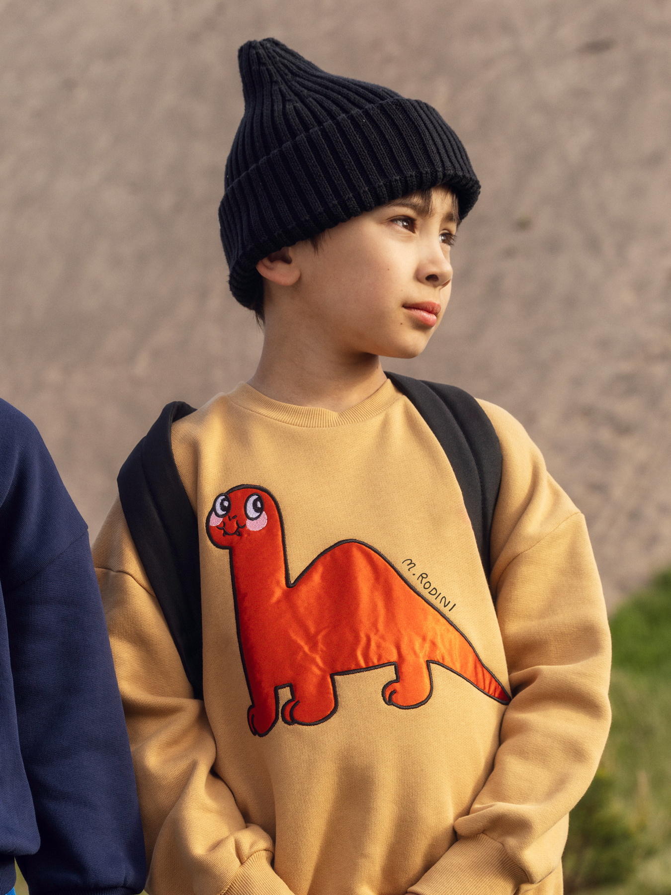 Dino application sweatshirt Beige | Mini Rodini