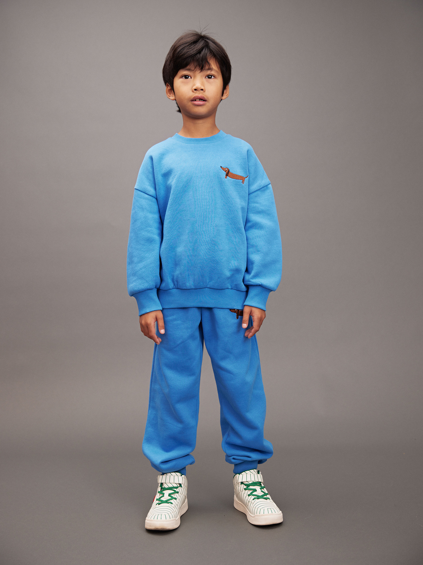 Dog embroidered sweatshirt Blue | Mini Rodini
