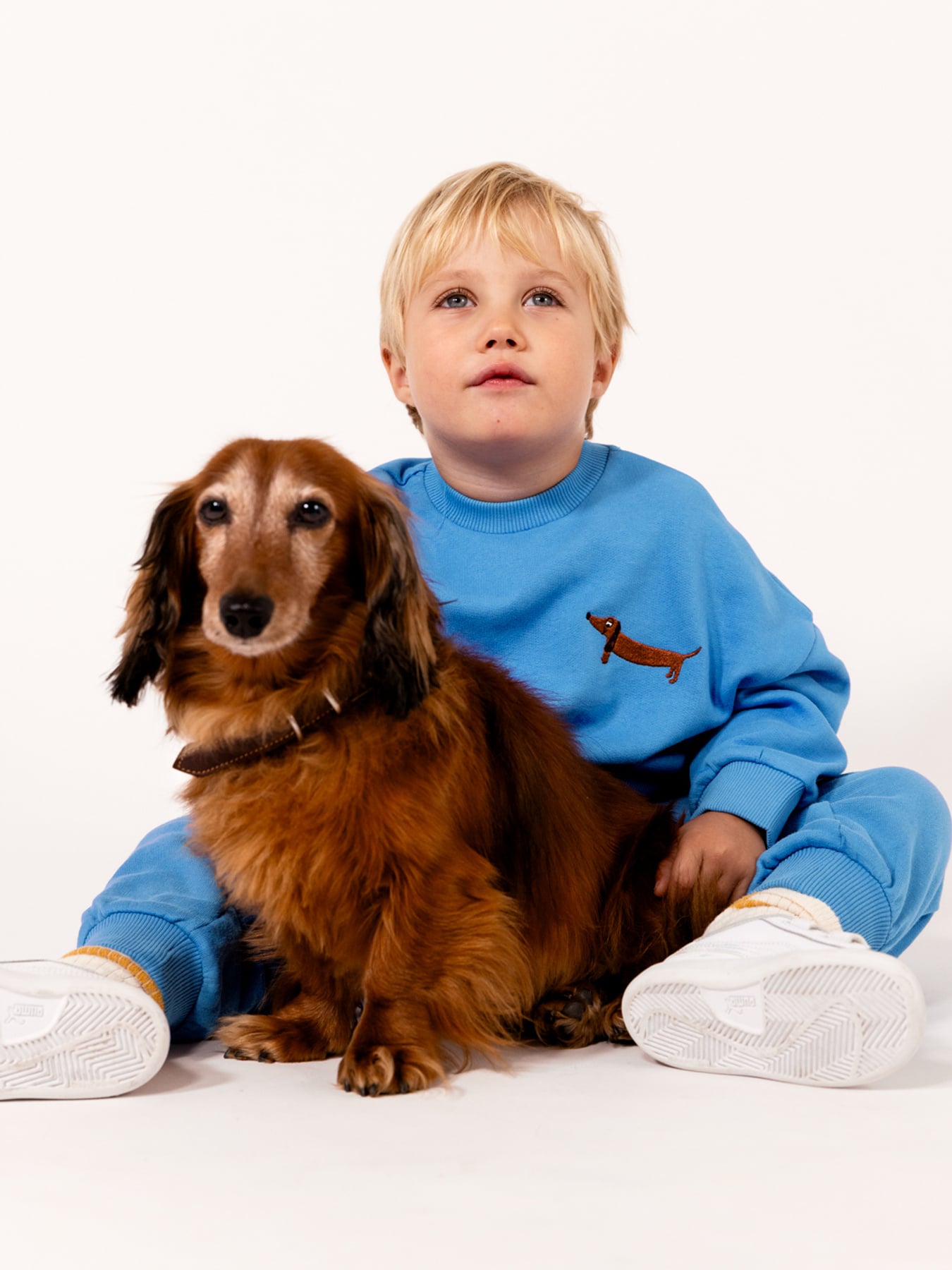 Mini Rodini 犬刺繍 スウェット トレーナー 7-9y Dog embroidered sweatshirt Blue | Mini Rodini