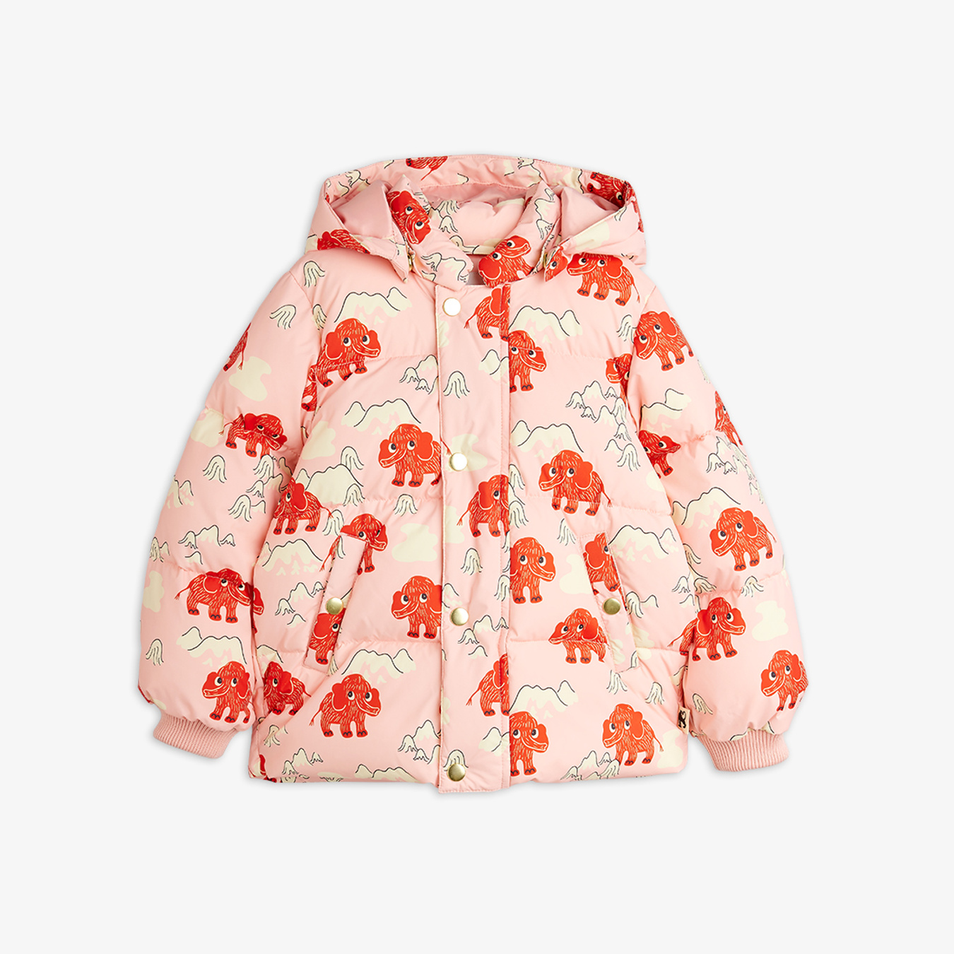 17461_1c85cb2dee-25710140-28-1